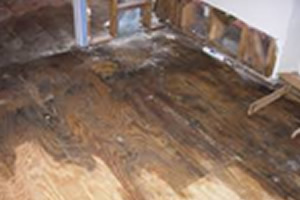 damage2